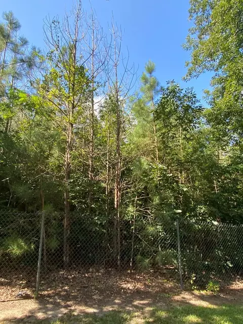 4039 Dixie, Wesson, MS 39191 photo 4