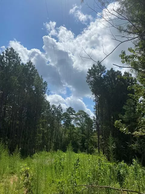 4039 Dixie, Wesson, MS 39191 photo 30