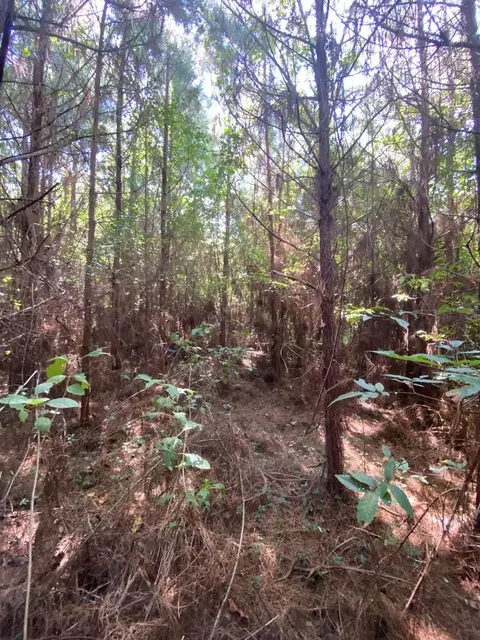 4039 Dixie, Wesson, MS 39191 photo 6