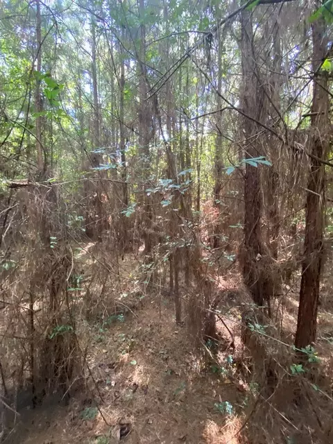 4039 Dixie, Wesson, MS 39191 photo 5