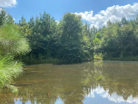 4039 Dixie, Wesson, MS 39191 photo 12