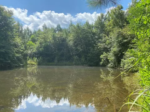 4039 Dixie, Wesson, MS 39191 photo 11