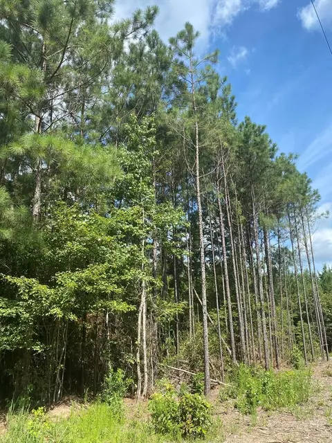4039 Dixie, Wesson, MS 39191 photo 22