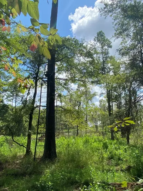 4039 Dixie, Wesson, MS 39191 photo 37