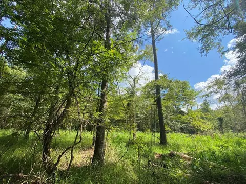 4039 Dixie, Wesson, MS 39191 photo 34
