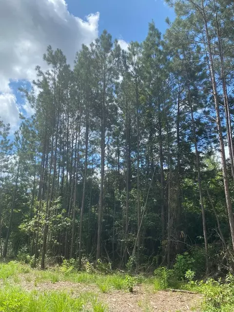 4039 Dixie, Wesson, MS 39191 photo 31