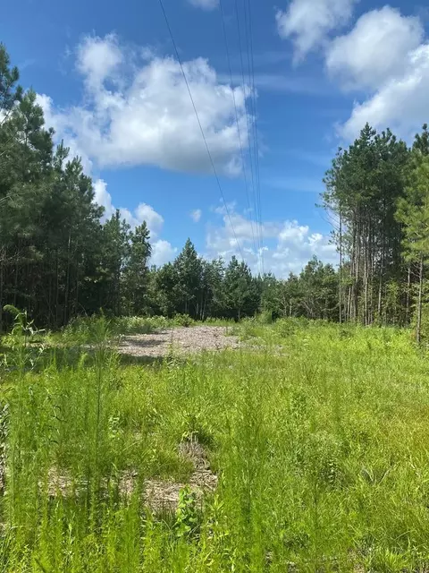4039 Dixie, Wesson, MS 39191 photo 24