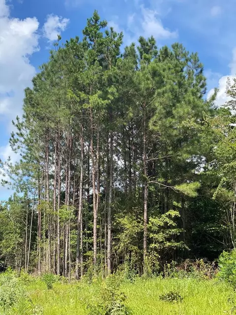 4039 Dixie, Wesson, MS 39191 photo 28