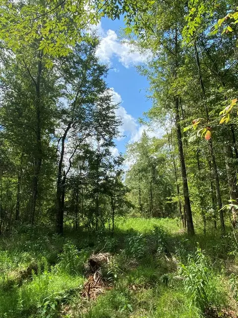 4039 Dixie, Wesson, MS 39191 photo 36
