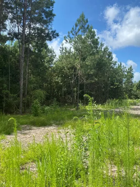 4039 Dixie, Wesson, MS 39191 photo 26