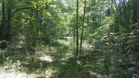 tbd Bluff Springs Rd, Gloster, MS 39638 photo 7