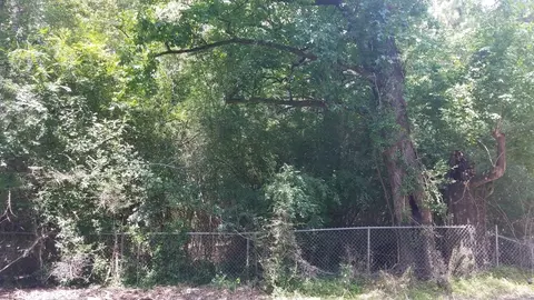 tbd Bluff Springs Rd, Gloster, MS 39638 photo 2