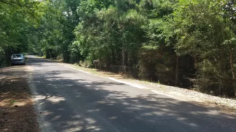 tbd Bluff Springs Rd, Gloster, MS 39638 photo 3