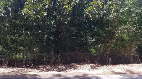 tbd Bluff Springs Rd, Gloster, MS 39638 photo 4