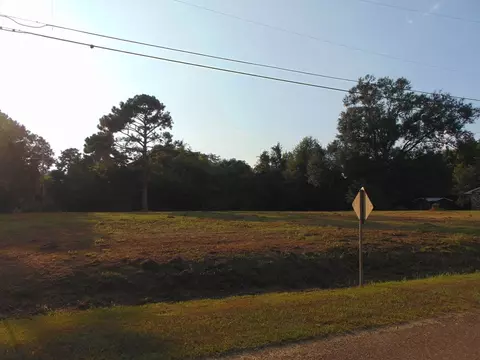 1003 Wooden, Wesson, MS 39191 photo 5