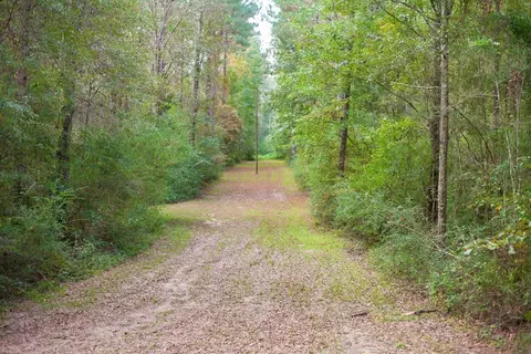 6096 W Topisaw S, Summit, MS 39666 photo 69