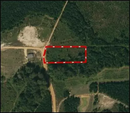 2337 Traci Loop, Bogue Chitto, MS 39629 photo 29