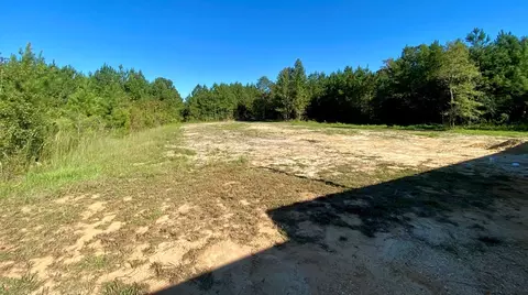 2337 Traci Loop, Bogue Chitto, MS 39629 photo 27