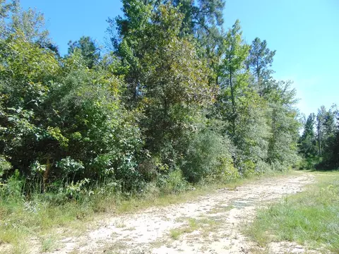 7091 King Rd, Wesson, MS 39191 photo 21