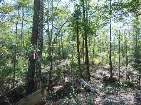 7091 King Rd, Wesson, MS 39191 photo 22