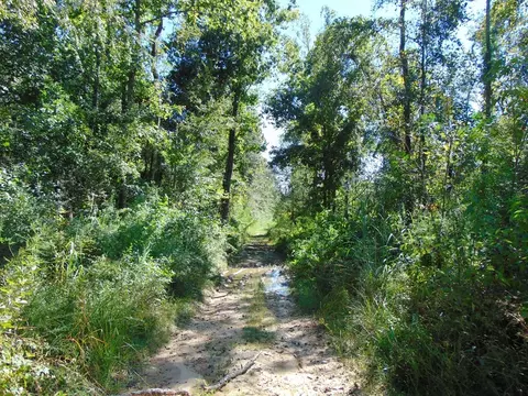 7091 King Rd, Wesson, MS 39191 photo 19