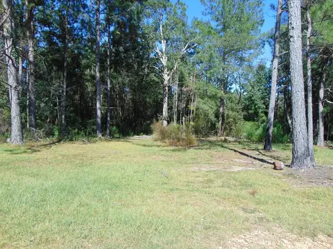 7091 King Rd, Wesson, MS 39191 photo 17
