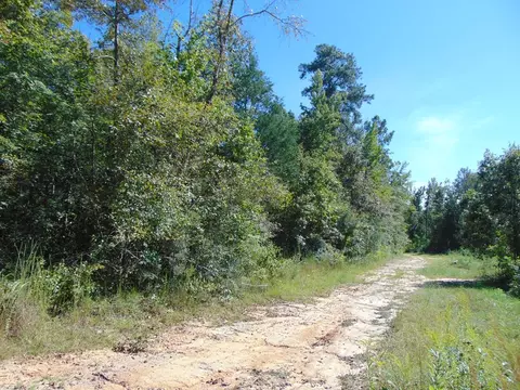 7091 King Rd, Wesson, MS 39191 photo 18