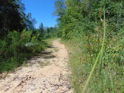 7091 King Rd, Wesson, MS 39191 photo 20