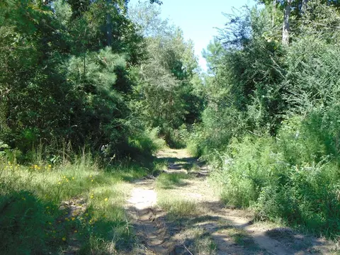 7091 King Rd, Wesson, MS 39191 photo 23