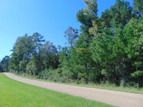 7091 King Rd, Wesson, MS 39191 photo 24