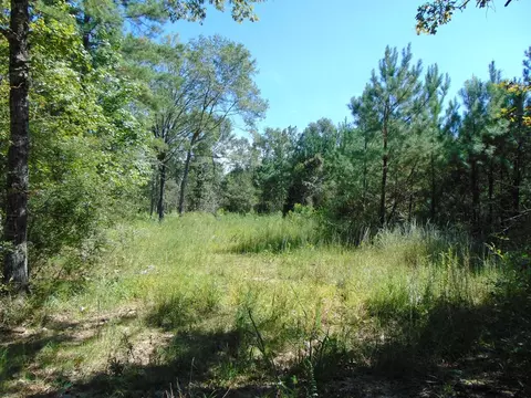 7091 King Rd, Wesson, MS 39191 photo 15