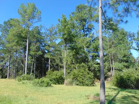 7091 King Rd, Wesson, MS 39191 photo 26