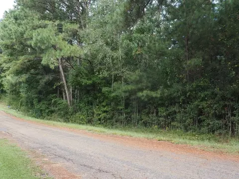 1009 Wolbrecht Rd, Summit, MS 39666 photo 1
