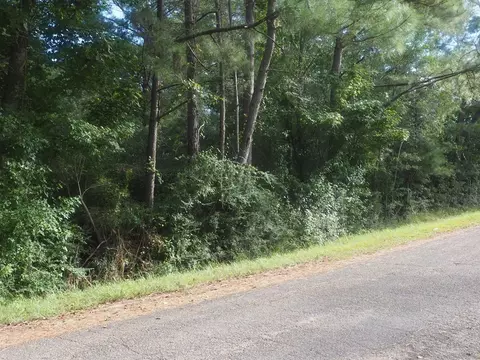 1009 Wolbrecht Rd, Summit, MS 39666 photo 2