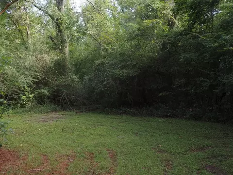1009 Wolbrecht Rd, Summit, MS 39666 photo 4