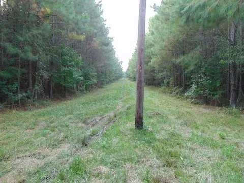 3003 Anderson Rd, Wesson, MS 39191 photo 6