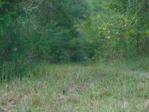 3003 Anderson Rd, Wesson, MS 39191 photo 3