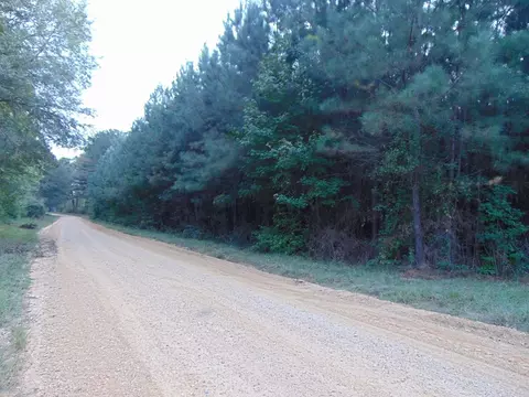 3003 Anderson Rd, Wesson, MS 39191 photo 9