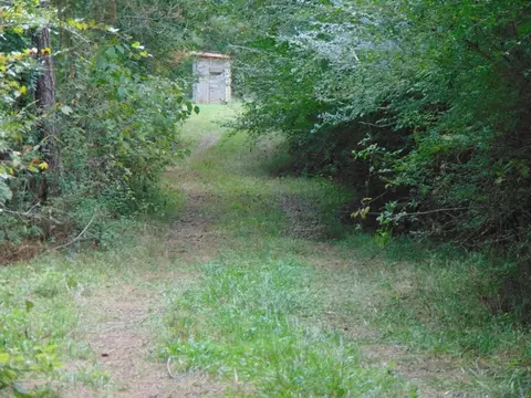 3003 Anderson Rd, Wesson, MS 39191 photo 13