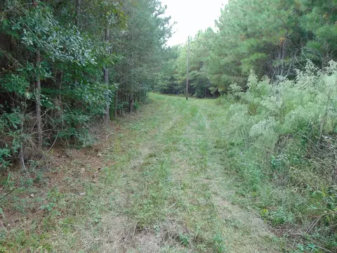 3003 Anderson Rd, Wesson, MS 39191 photo 5