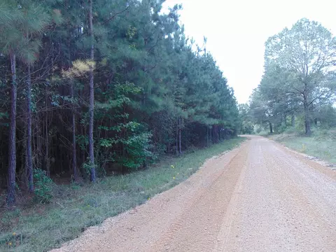 3003 Anderson Rd, Wesson, MS 39191 photo 10