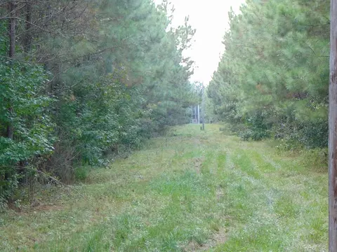 3003 Anderson Rd, Wesson, MS 39191 photo 7