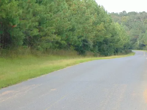 3003 Anderson Rd, Wesson, MS 39191 photo 2