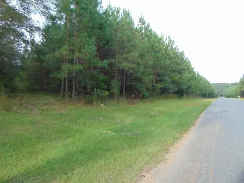3003 Anderson Rd, Wesson, MS 39191 photo 1
