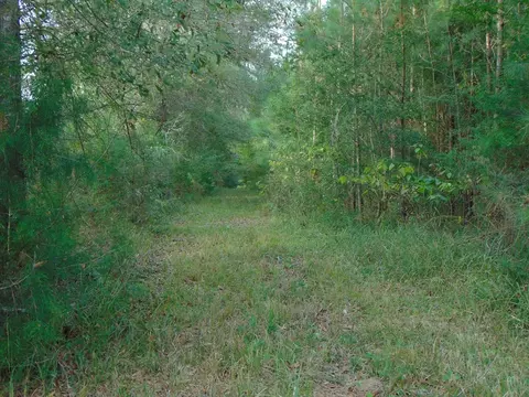 3003 Anderson Rd, Wesson, MS 39191 photo 4