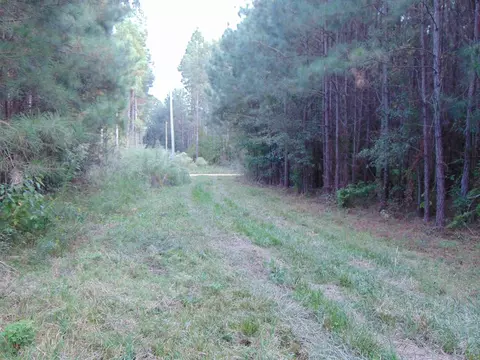 3003 Anderson Rd, Wesson, MS 39191 photo 8