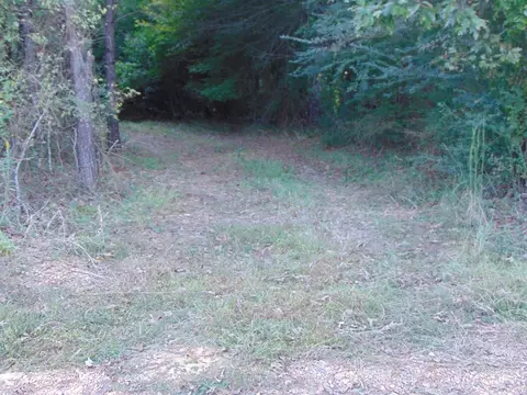 3003 Anderson Rd, Wesson, MS 39191 photo 12