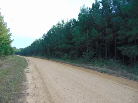 3003 Anderson Rd, Wesson, MS 39191 photo 14