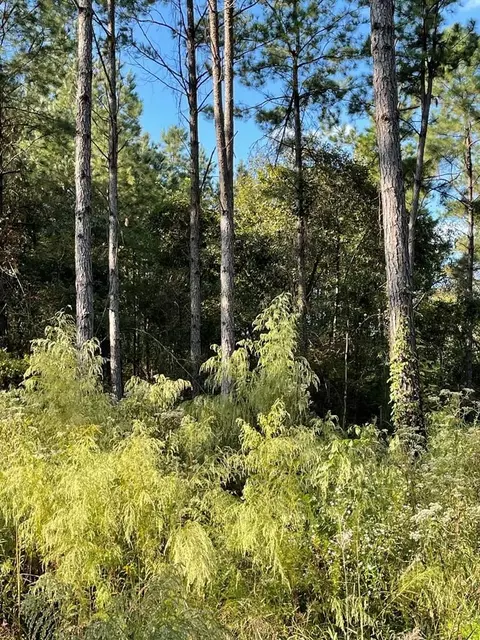 Nnn Gary Road, Liberty, MS 39645