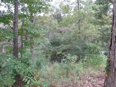 108 Rolling Oak Rd, Braxton, MS 39044 photo 16